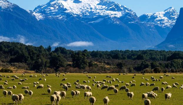 FOTO Zombi apokalipsa nije moguća, ali da je...: Ovo bi bile najsigurnije države za skrivanje