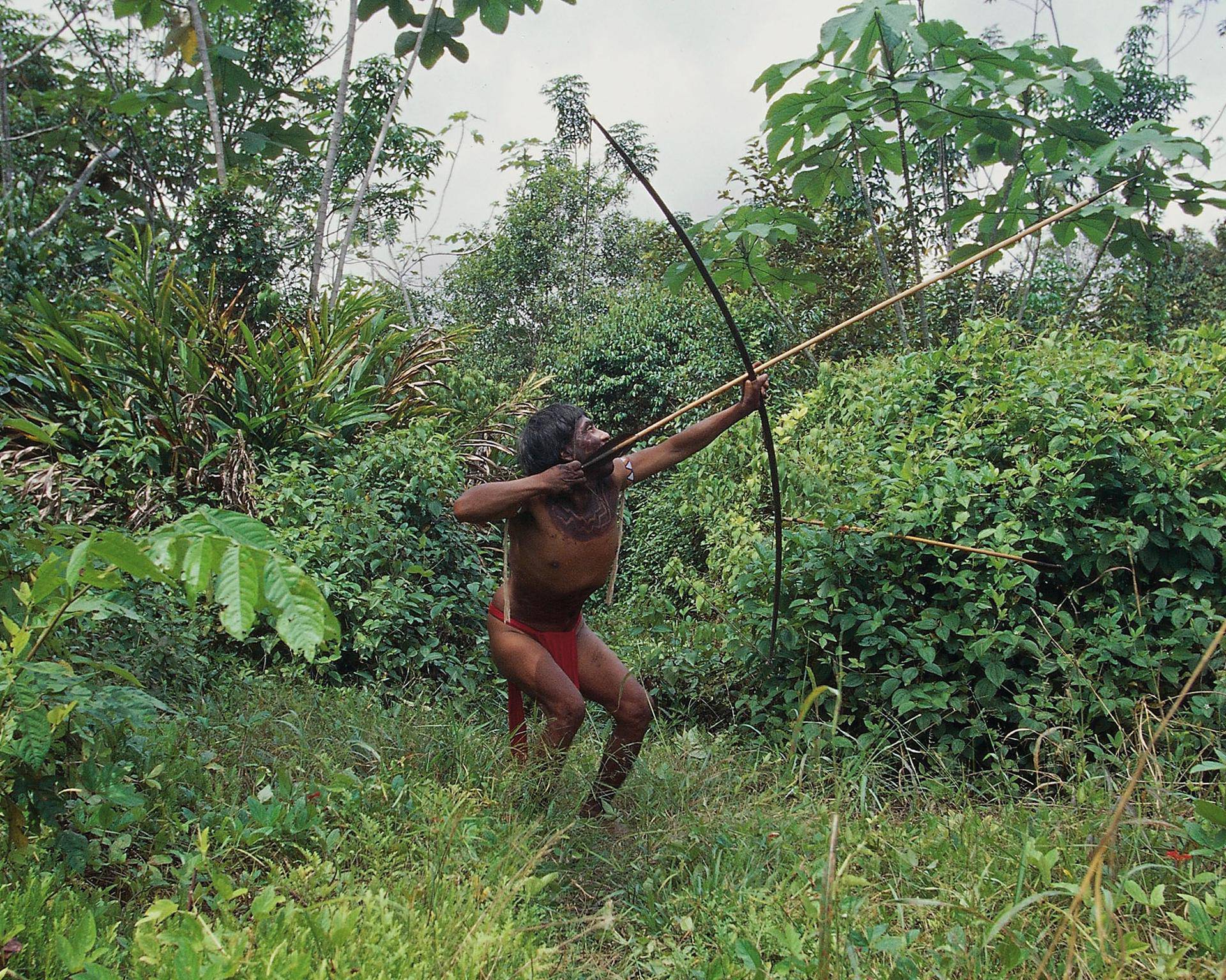 Venezuela Guayana Amazonas, near Rio Siapa. Indio Yanomami tribe Cavaroa hunting in forest. man in a