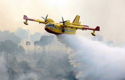 Krenula sezona požara: Gori borova šuma, gasi 55 gasitelja