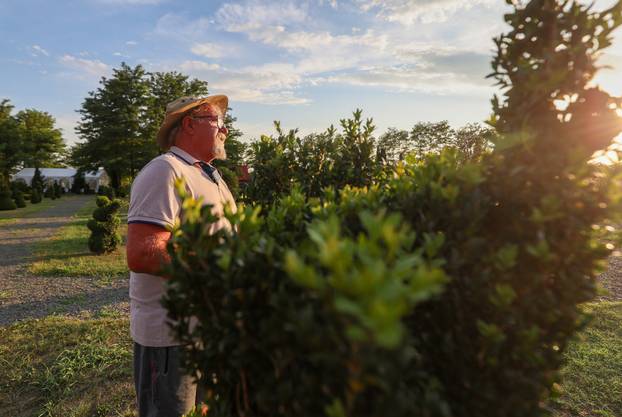 Bajkoviti vrt u srcu Međimurja: Prvi i jedini Topiary park u Hrvatskoj krije se u Sračincu