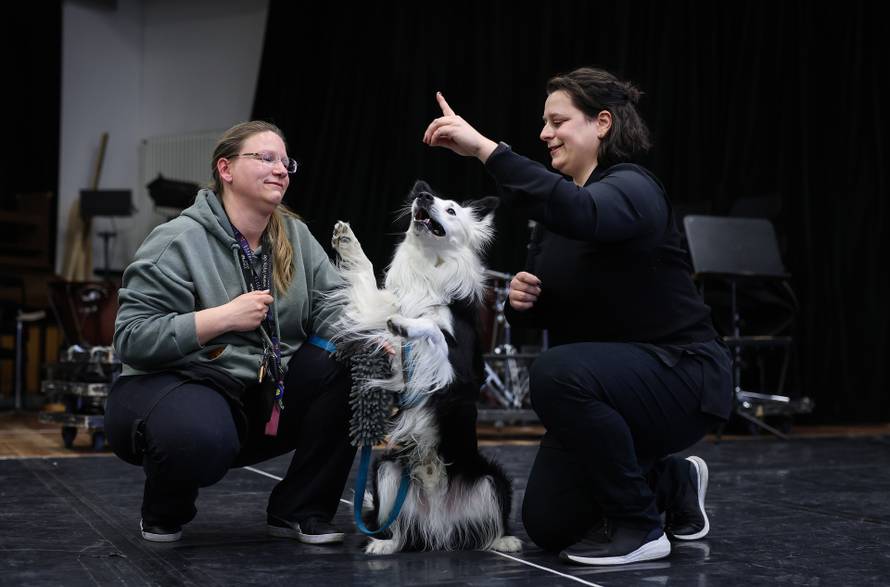 Magdeburg: Border Collie Mexx dobio je ulogu u dje?joj operi