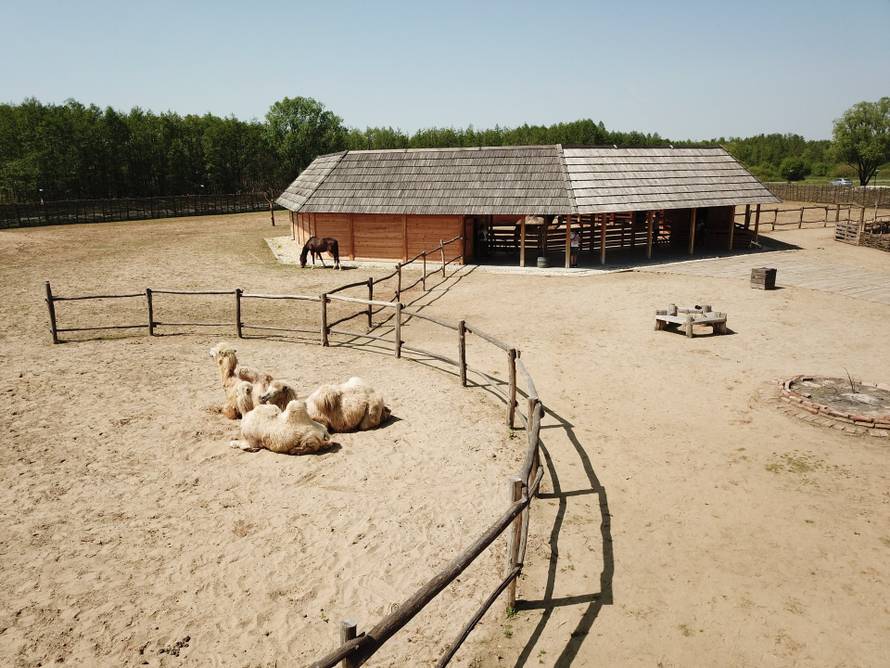 Okusi Đurđevca: Donosimo vam odlične recepte od divljači!