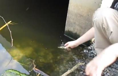 Dječak ulovio ribu koju mu je iz ruke otela zmija! Pogledajte