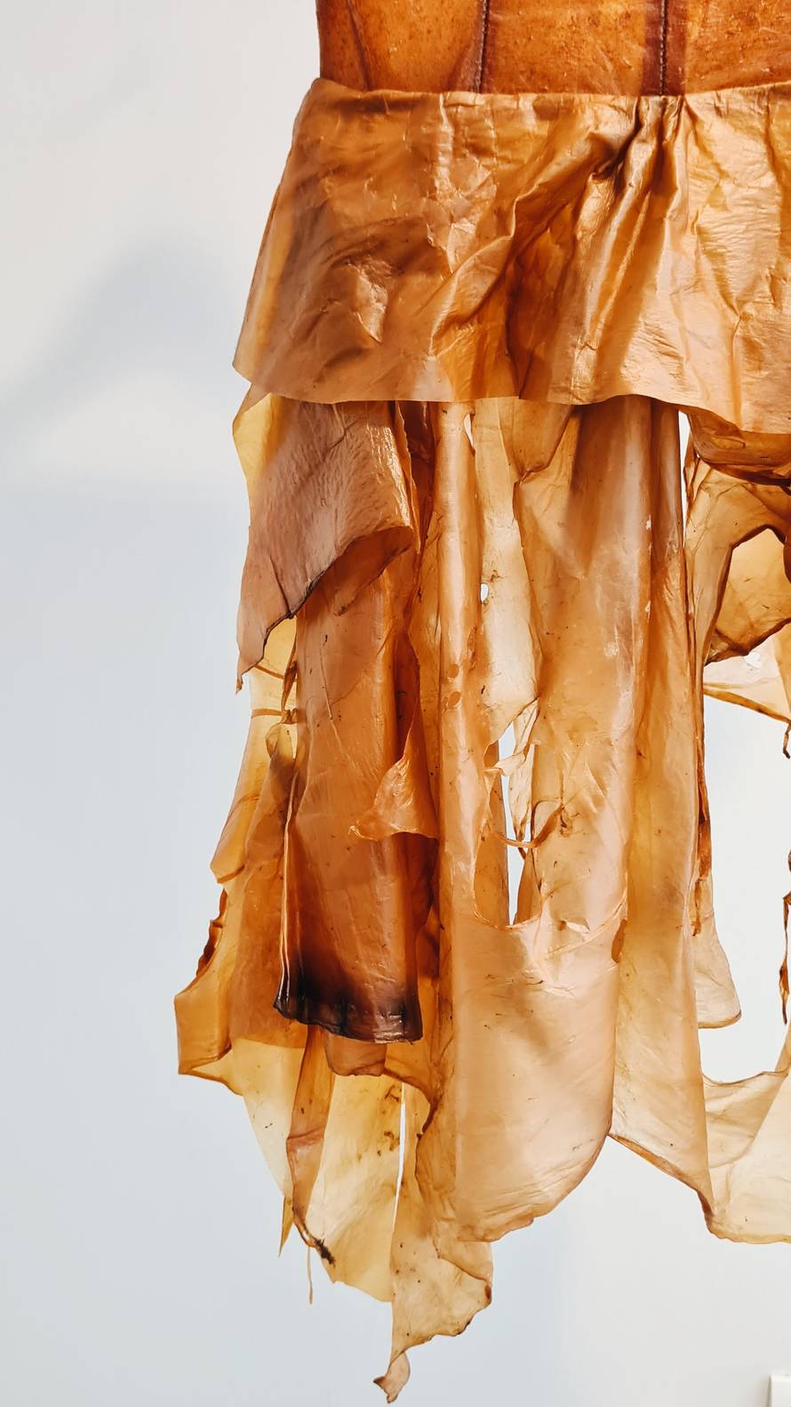 Maja je jedina biodizajnerica u regiji: 'Materijale za odjeću radim od algi, gljiva i bakterija'