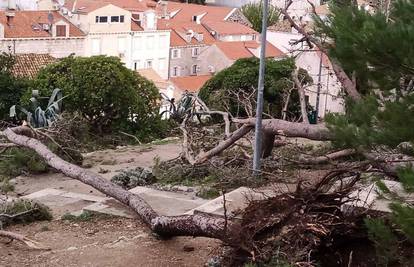 Snažno nevrijeme pogodilo Dubrovnik, vatrogasci imali pune ruke posla. Štete su velike