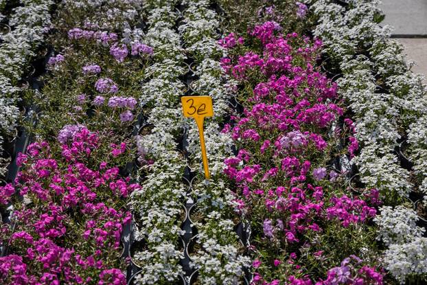 Otvorenje 49. sajma cvijeća u Splitu