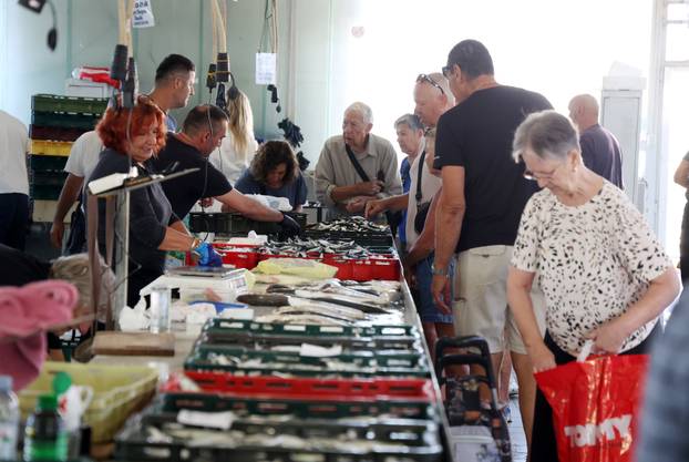 Šibenik: Ponuda ribe na ribarnici