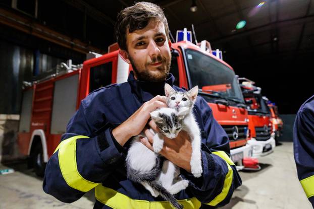 Vrgorac: Vatrogasci spasili 4 mačiča iz šahta gdje su ih pronašli ostavljene