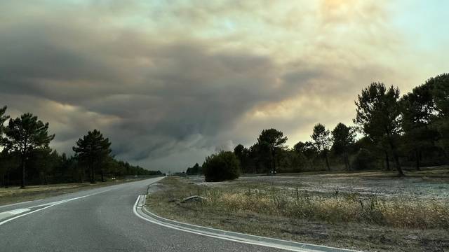 Forest fire in the south of France