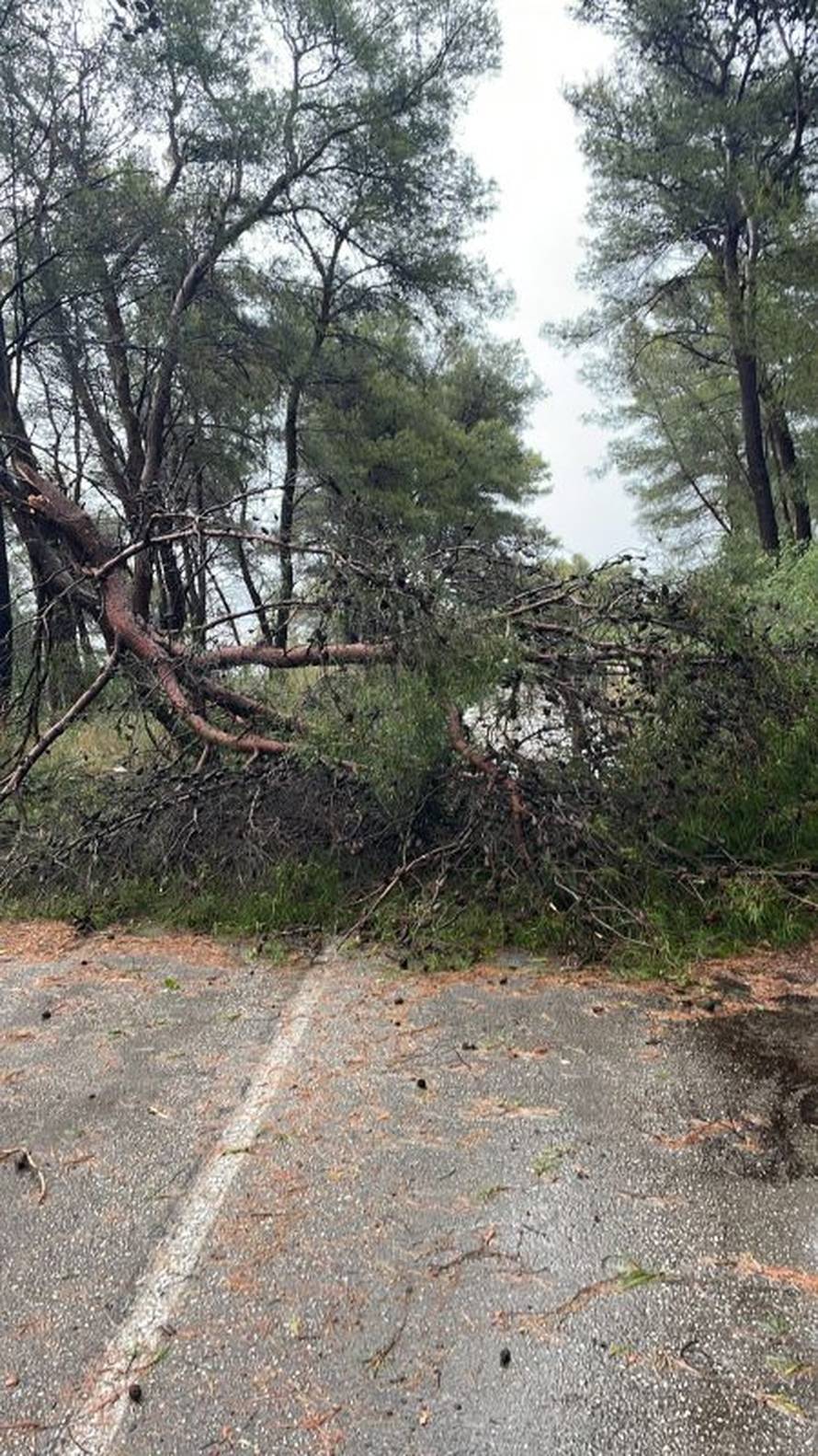 FOTO Jako nevrijeme pogodilo Dalmaciju: Potop u Splitu, na Čiovu pada tuča veličine oraha
