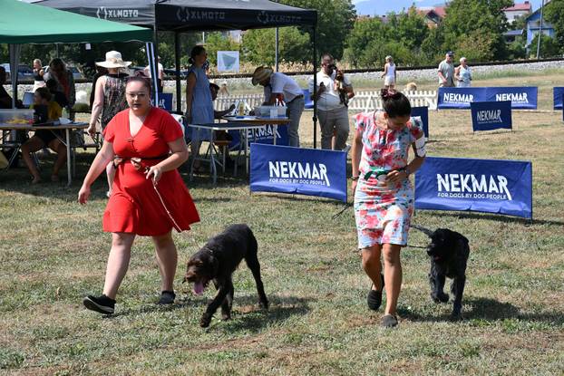 Požega: Nacionalna izložba pasa "CAC Požega 2024."