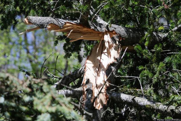 Zagreb: Tri tjedna nakon razorne oluje na Sljemenu i dalje vidljive posljedice 