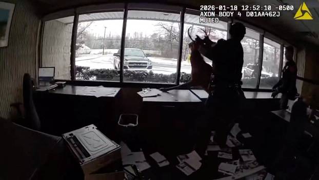 Police officers guide a buck to the outdoors after the buck crashed through the window at a bank in Suffolk county