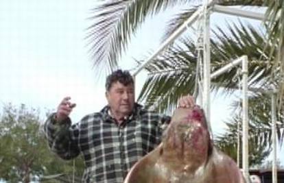 S mrežom je uspio uloviti ribu goluba tešku 65 kg