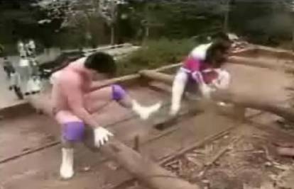 Japanski hrvači u par sati sravnili kuću sa zemljom