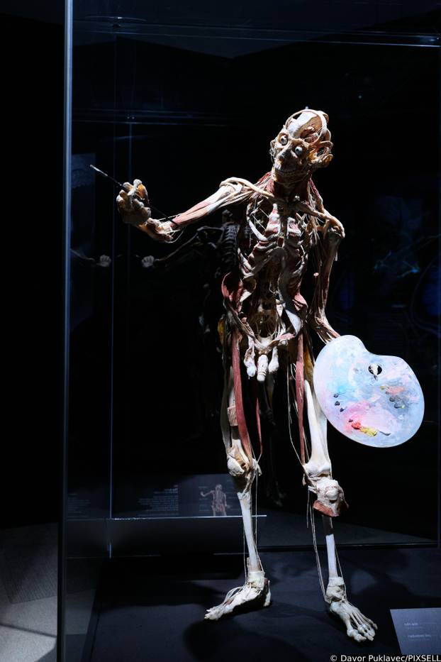 Zagreb: Konferencija uoči otvorenja izložbe seciranih ljudskih tijela Body Worlds Vital