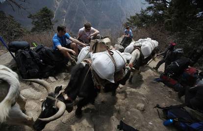 Kriketaši žele odigrati tekmu na Mount Everestu