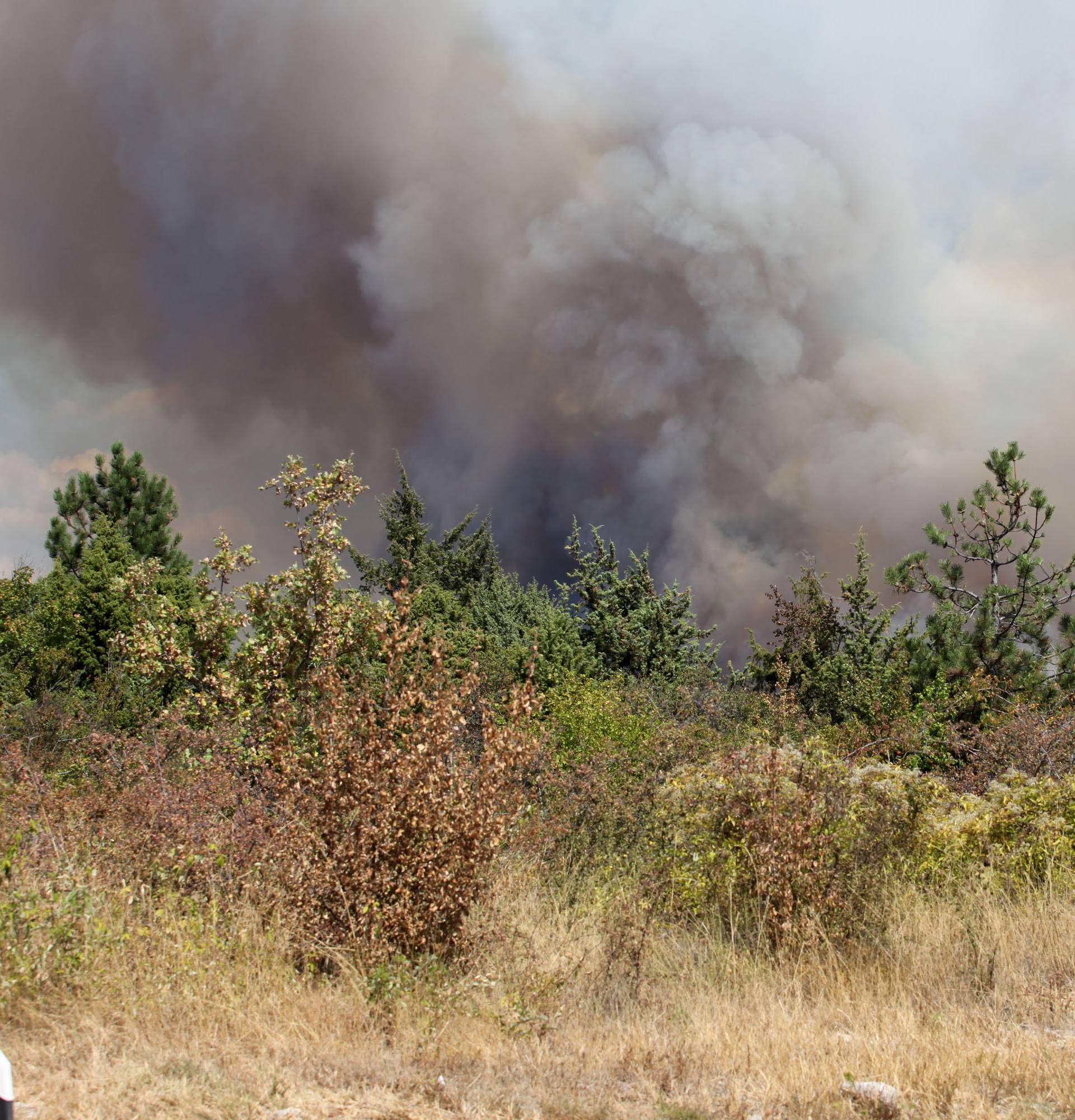 Upaljačem zapalio 25 požara: Uhitili piromana (44) iz Istre