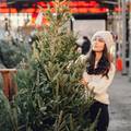 Kako izabrati savršeno božićno drvce - nordijska jela može dugo stajati, a smreka super miriši