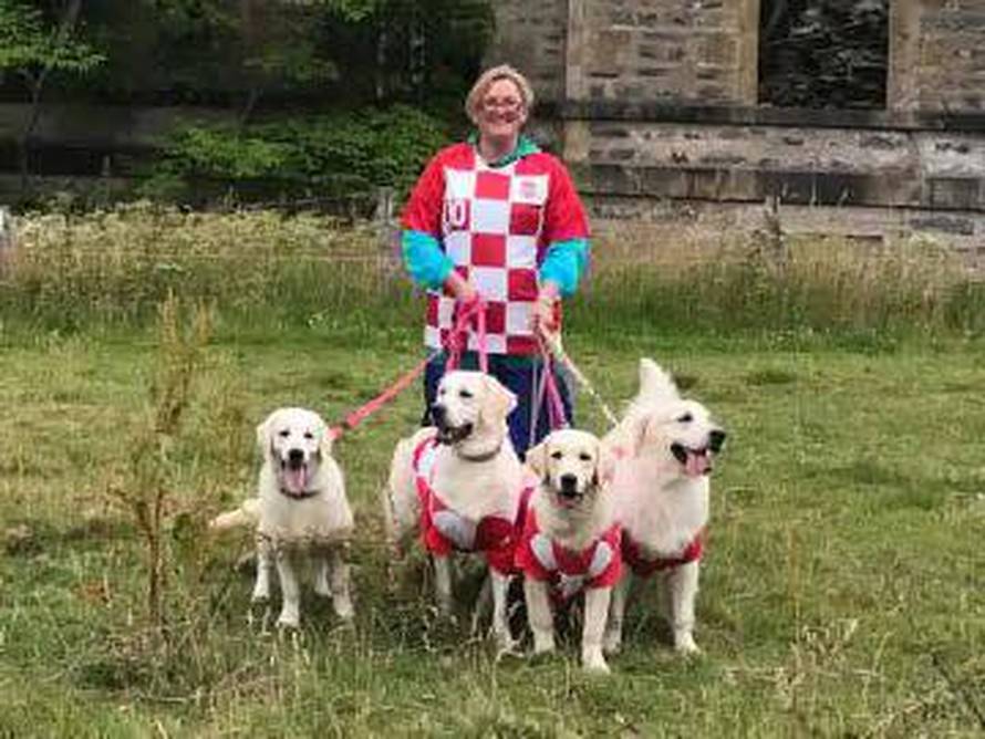Tu su i hrvatski ljepotani: 361 zlatni retriver na okupu