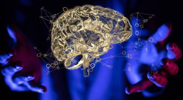 3D rendering of the human brain anatomical model - Artificial intelligence concept