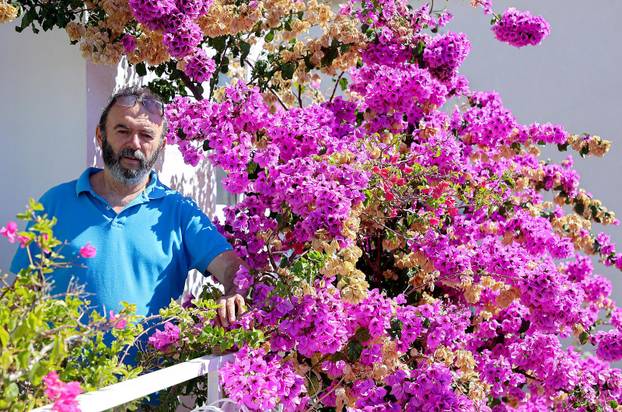 Split: Denis Bojčić, kolekcionar bugenvila