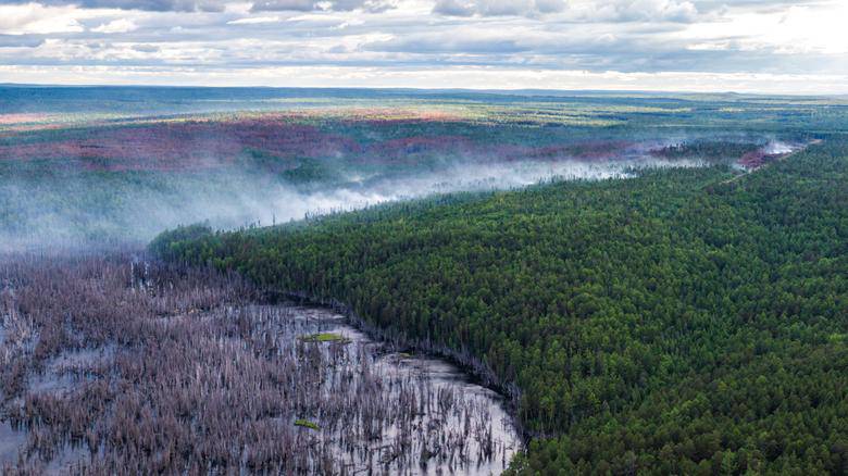 U Sibiru 187 požara: Vatra je došla do najhladnijeg grada na svijetu, otapa se i permafrost