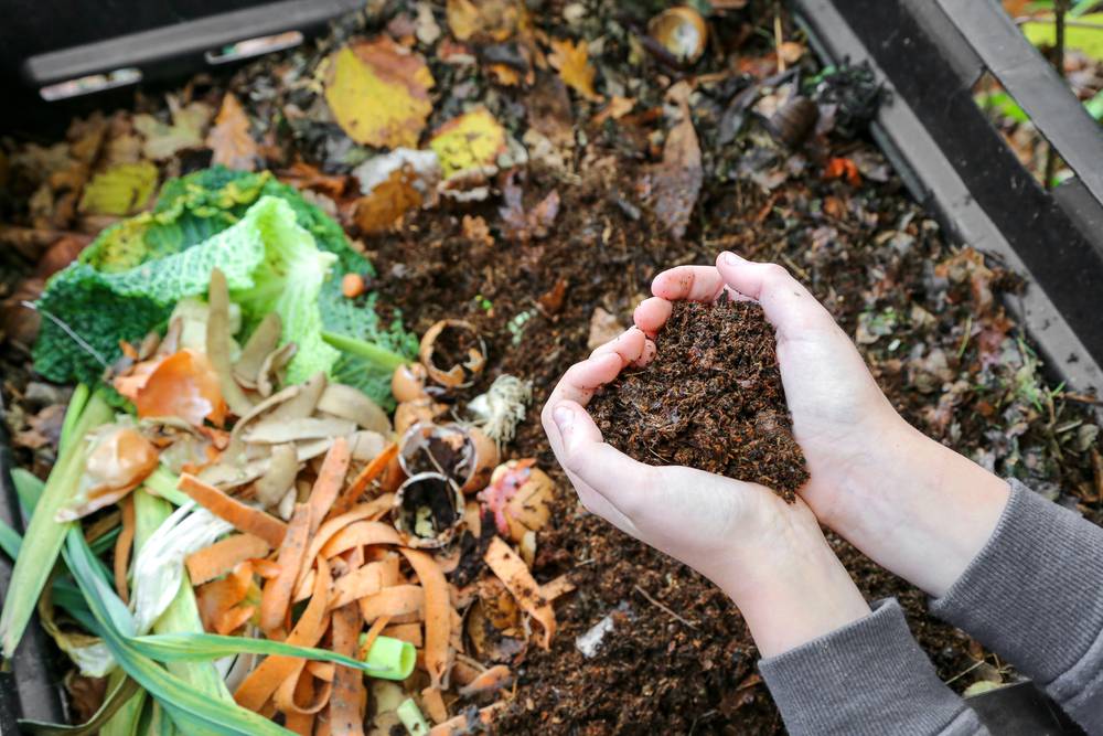 Hands,Holding,Compost,Above,The,Composter,With,Organic,Waste