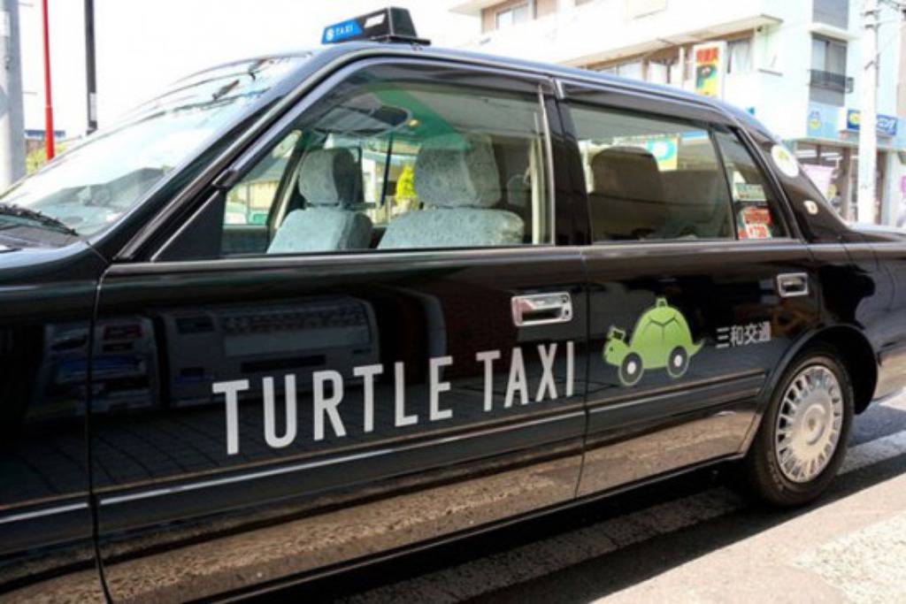 turtle Taxi