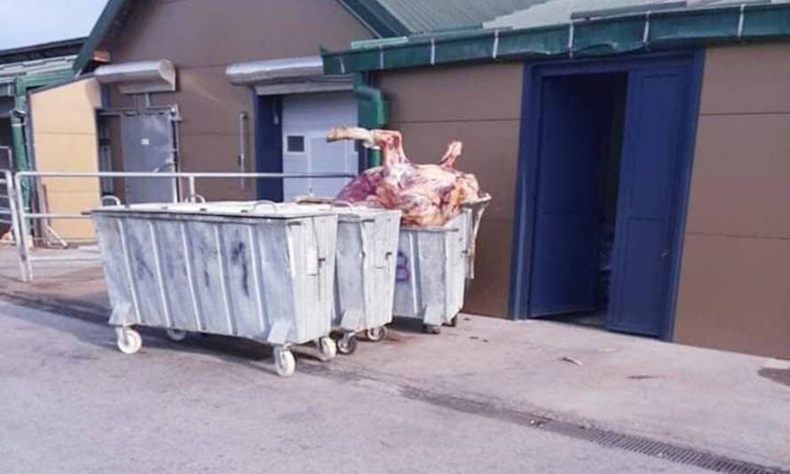 Radnike na farmi užasa snimaju kamere od 0 do 24: 'Inspekcija je bila više puta, sve je u redu'