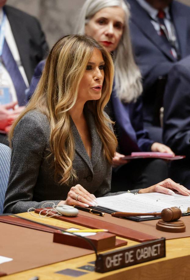 United Nations Security Council meeting in New York City