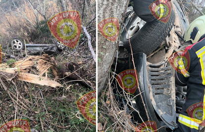 FOTO Vozač u Istri prepolovio drvo pa završio s autom u jarku