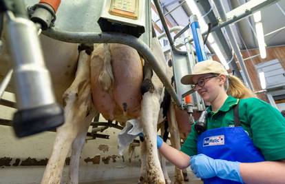 Arla Foods i DMK Group grade najveću mljekarsku zadrugu, povezat će 12 tisuća mljekara