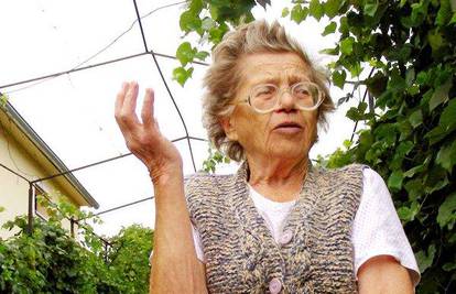 Virovitica: Starici štala izgorjela od udara munje 