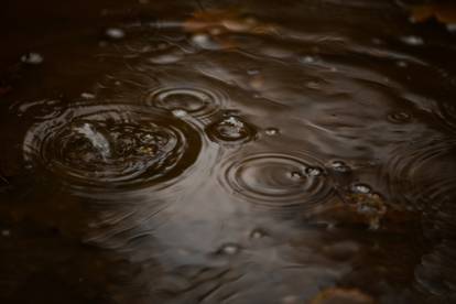 Šetnja Maksimirom: Kad  kiša dotakne jesen, rađa se čarolija