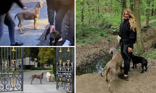 Bijes zbog Todorića: 'Pustili su pse da im lutaju po cesti bez nadzora! Prijavili smo ih policiji'