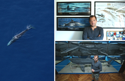 Kit u Jadranu nije novost, ali je rijetkost: 'Nemojte im stvarati stres, oni nikome ne čine štetu'