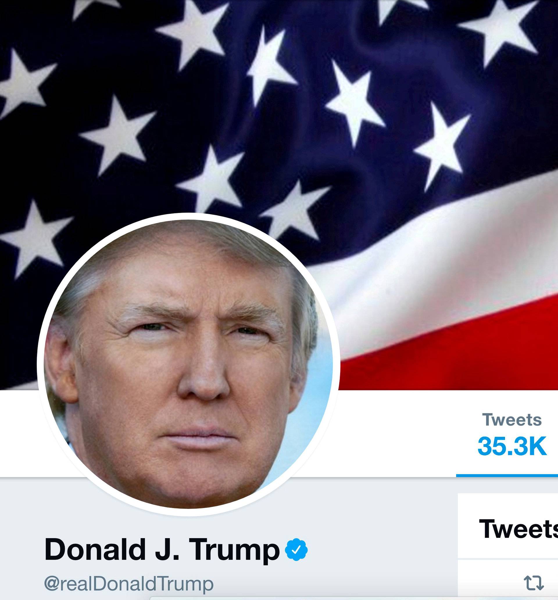 FILE PHOTO:  The masthead of U.S. President Donald Trump's @realDonaldTrump Twitter account