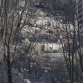 Po&zcaron;ar na Kor&ccaron;uli pod nadzorom: Izgorjelo do 900 hektara &scaron;ume, dio vatrogasaca oti&scaron;ao na Mljet