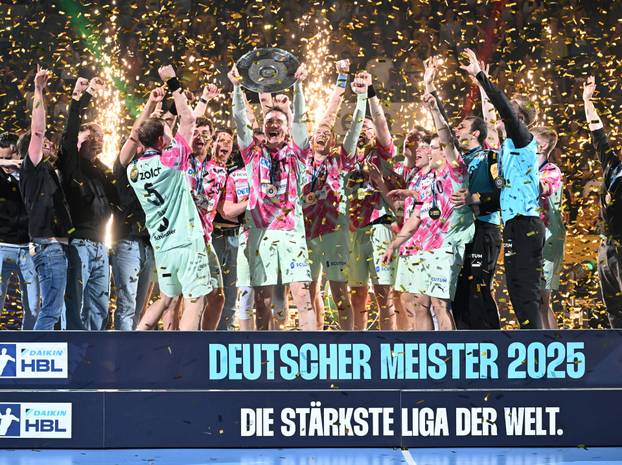 Rhein-Neckar Löwen - Füchse Berlin