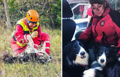 Čovjeka u Samoboru tražili pet dana, našao ga je potražni pas Flyn: 'Došao je do njega i lajao'