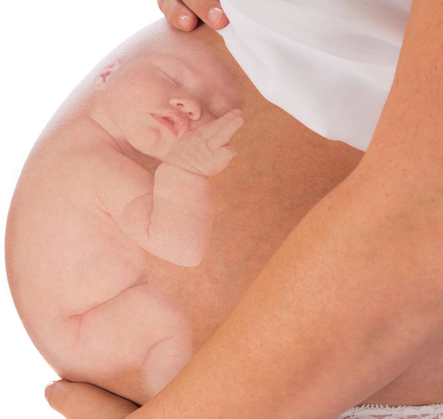 Trbuh je prva škola: Mozak bebe najbrže raste u trudnoći