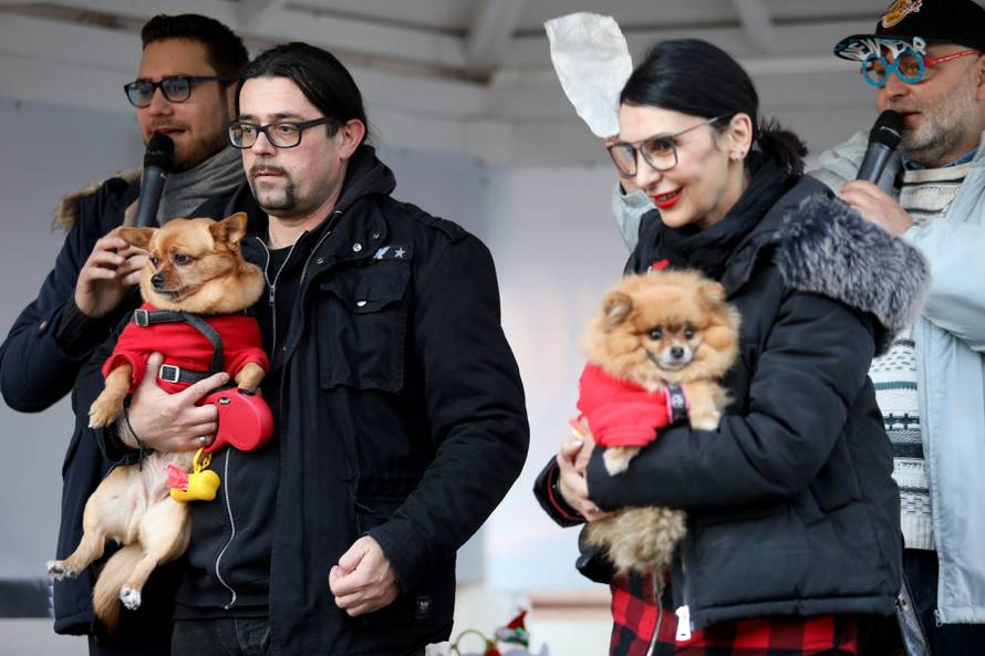 U Crikvenici održan Dog New Year's party, novogodišnji party za četveronožne ljubimce