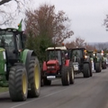 Širi se velika pobuna seljaka u Europi. Konvoji traktora idu na Rim: 'Bez seljaka nema hrane'