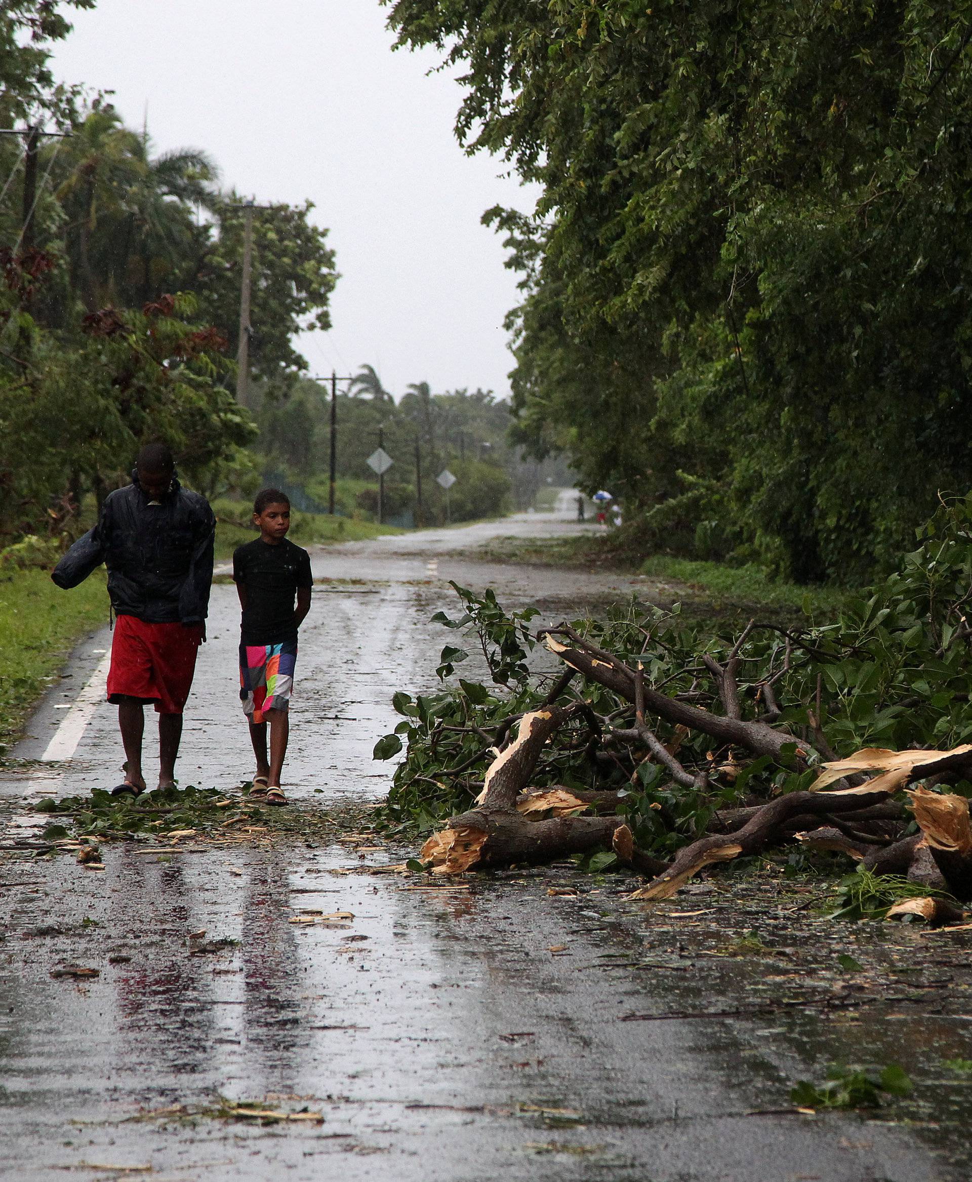 Children walk along a street next to a fallen tree as Hurricane Irma moves off the northern coast of the Dominican Republic, in Nagua