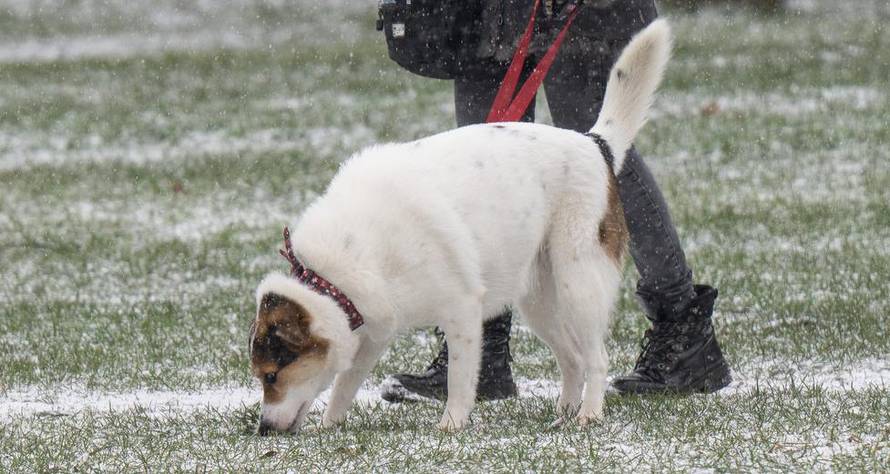 Snijeg je počeo padati i u Zagrebu