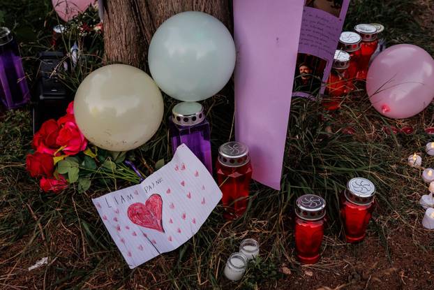 Split: Fanovi One Directiona održali memorijal u spomen na preminulog glazbenika Liama Paynea