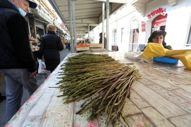 Rijeka: Prve ovogodišnje šparoge stigle su na Gradsku tržnicu