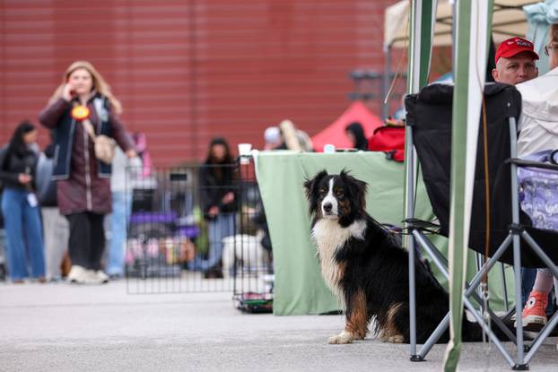 Izložba pasa svih pasmina ispred shopping centra Westgate City u Zaprešiću
