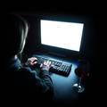 Uhitili 338 ljudi diljem svijeta: Istraga o pedofiliji na internetu